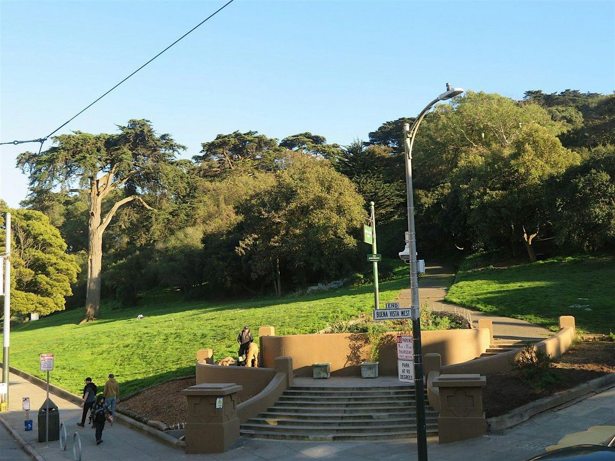 Civic Joy Corps Parks Volunteering @ Buena Vista Park, 1 November | Event in San Francisco | AllEvents