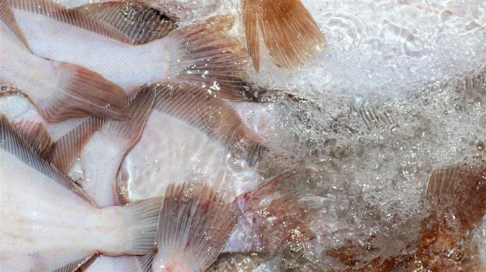 Sea State: Adapting Fisheries & Seafood, 10 December | Event in Portland | AllEvents