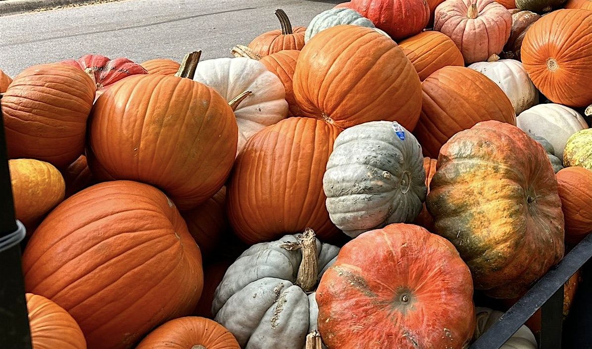 Pumpkin Carving & Bubbles, 30 October | Event in Austin | AllEvents