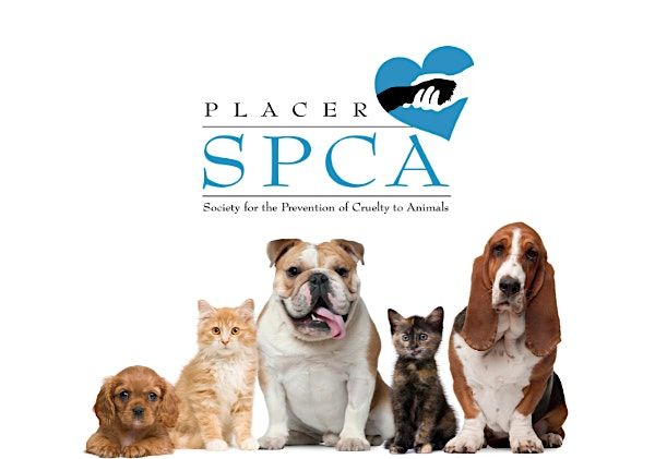 Placer SPCA  Volunteer Orientation (Teen), 10 June | Event in Roseville | AllEvents