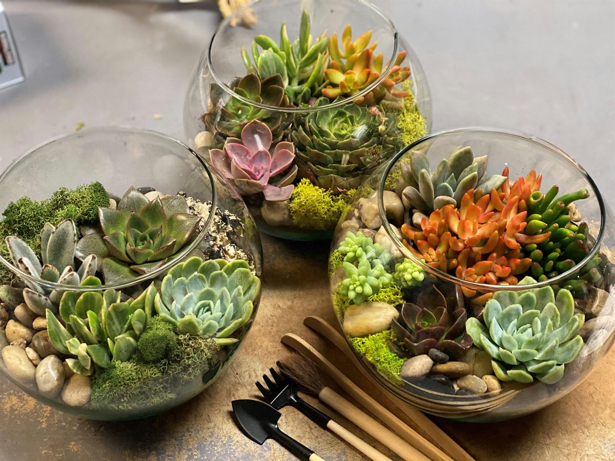 Succulent Terrarium Design Class, 11 July | Event in Scottsdale | AllEvents