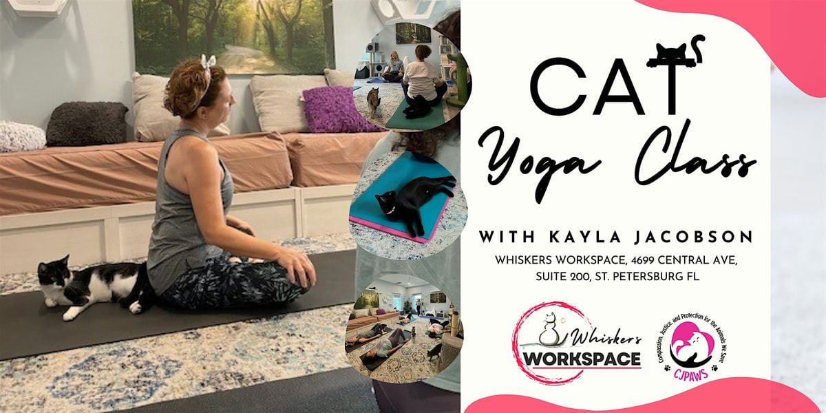 Cat Yoga Class with Kayla Jacobson, 11 October | Event in St. Petersburg | AllEvents