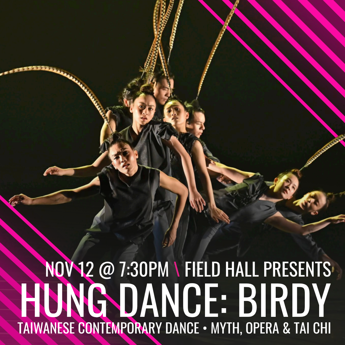 Hung Dance - Birdy at Cullen Theatre at Wortham Center, 22 November | Event in Houston | AllEvents