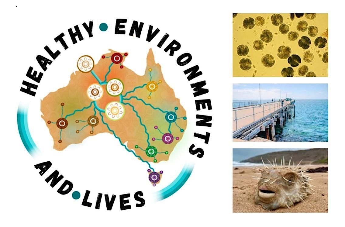 Public Health Impacts of the 2025 Harmful Algal Bloom, 4 November | Event in Adelaide | AllEvents