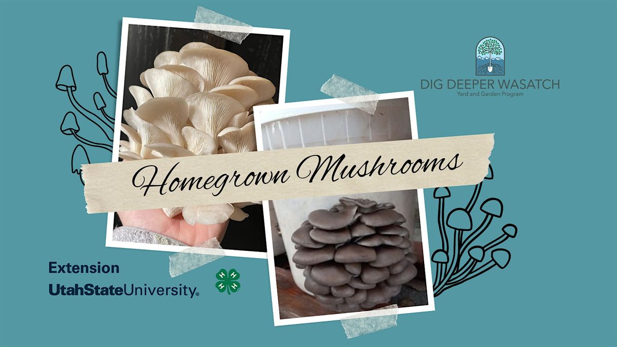 Introduction to Home Mushroom Cultivation-PM | Event in West Jordan | AllEvents