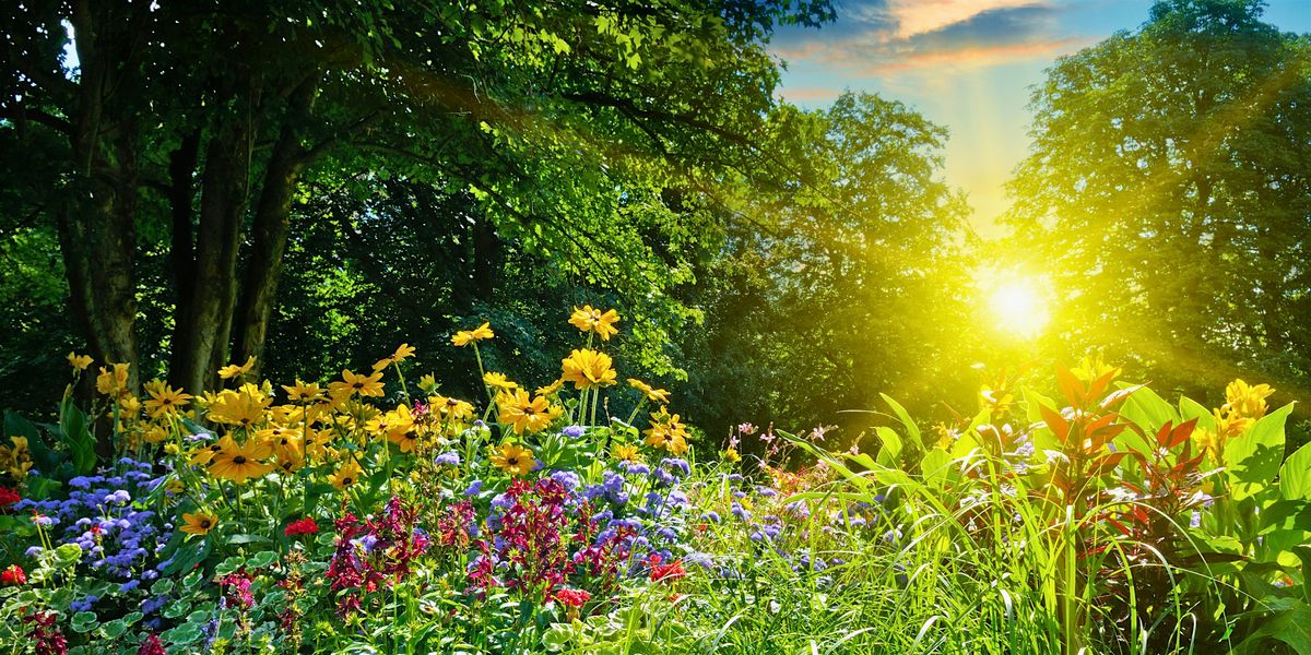 (BLUE DIAMOND) Preparing Your Landscape For Summer, 31 May | Event in Las Vegas | AllEvents