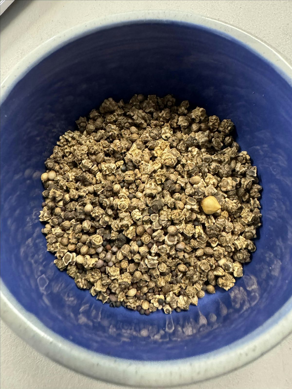 Fall Vegetable Seed Starting Workshop, 20 August | Event in Jacksonville | AllEvents