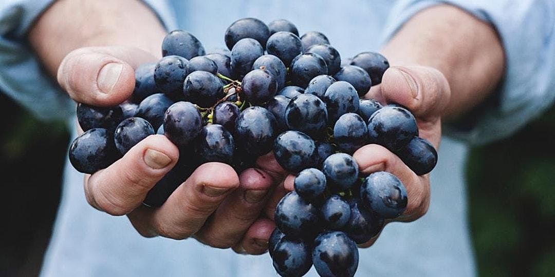 2nd February 2022 Events In San Antonio San Antonio February 2022 Events