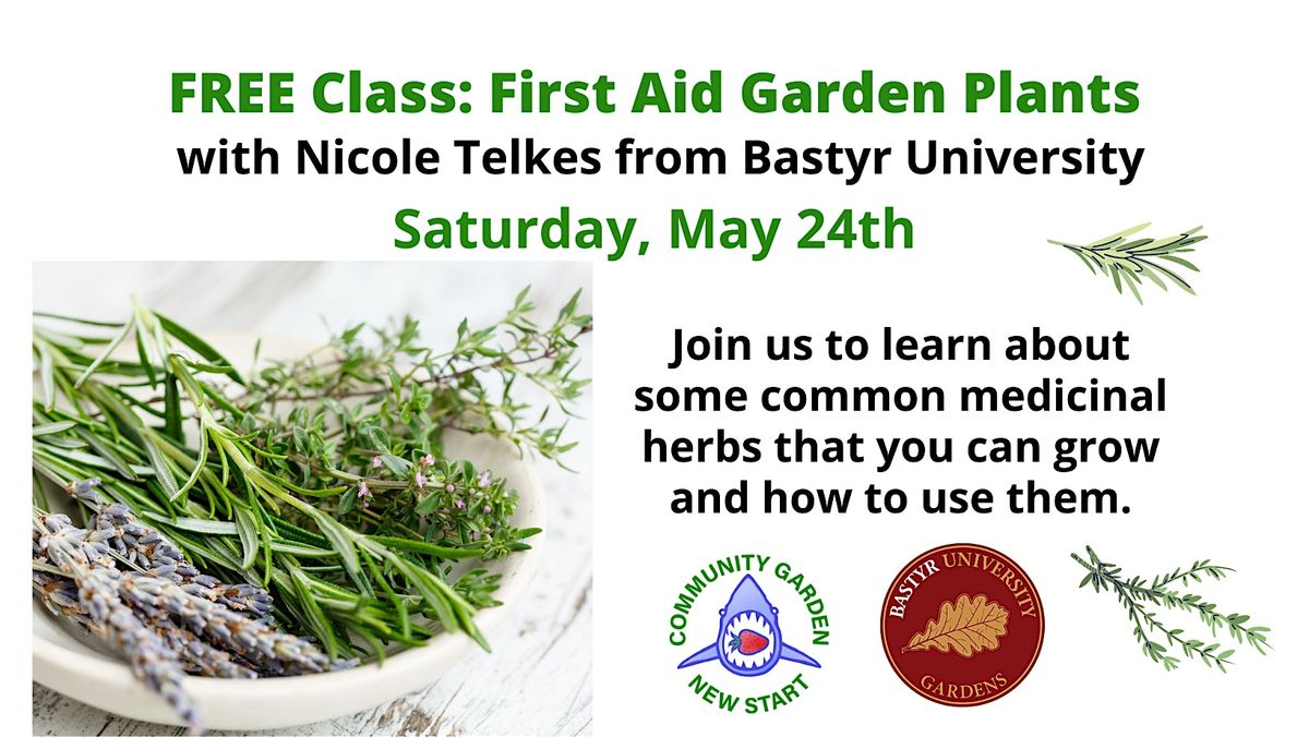 Free Class: First Aid Garden Plants, 16 June | Event in Burien | AllEvents