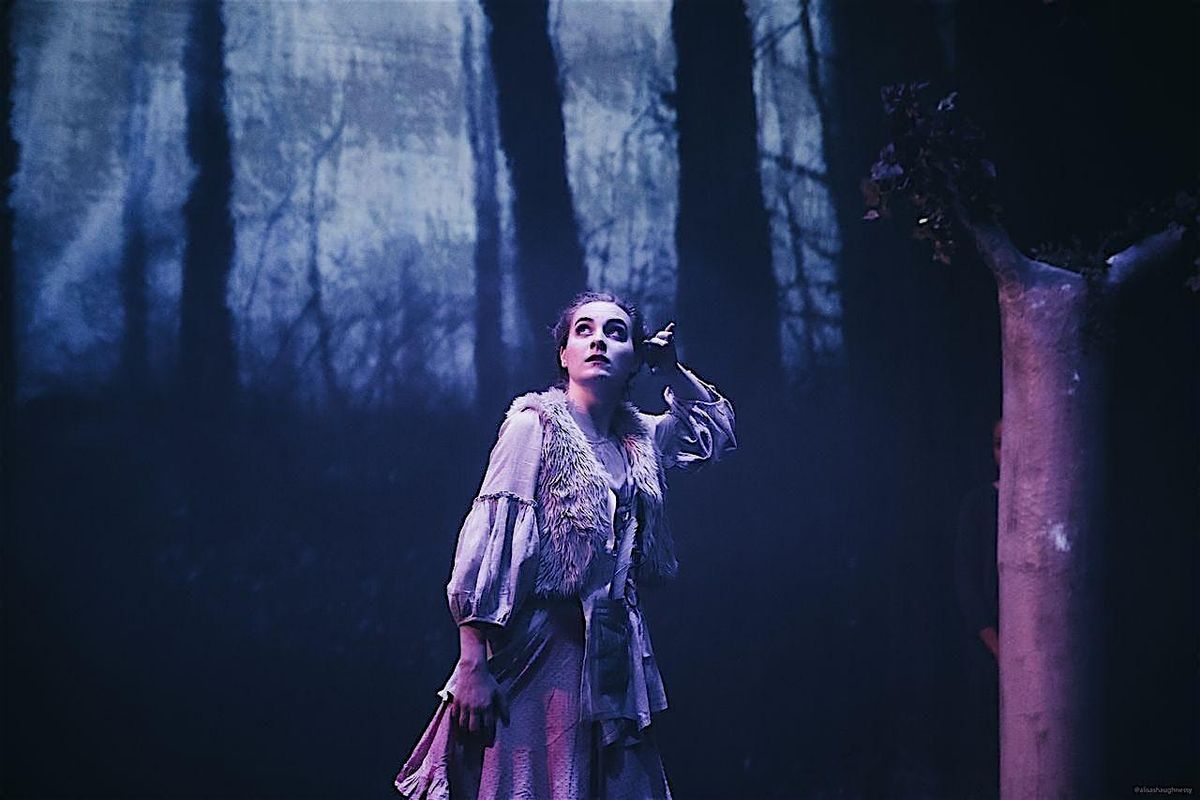 Sterling's Path 2025, 29 November | Event in Atlanta | AllEvents