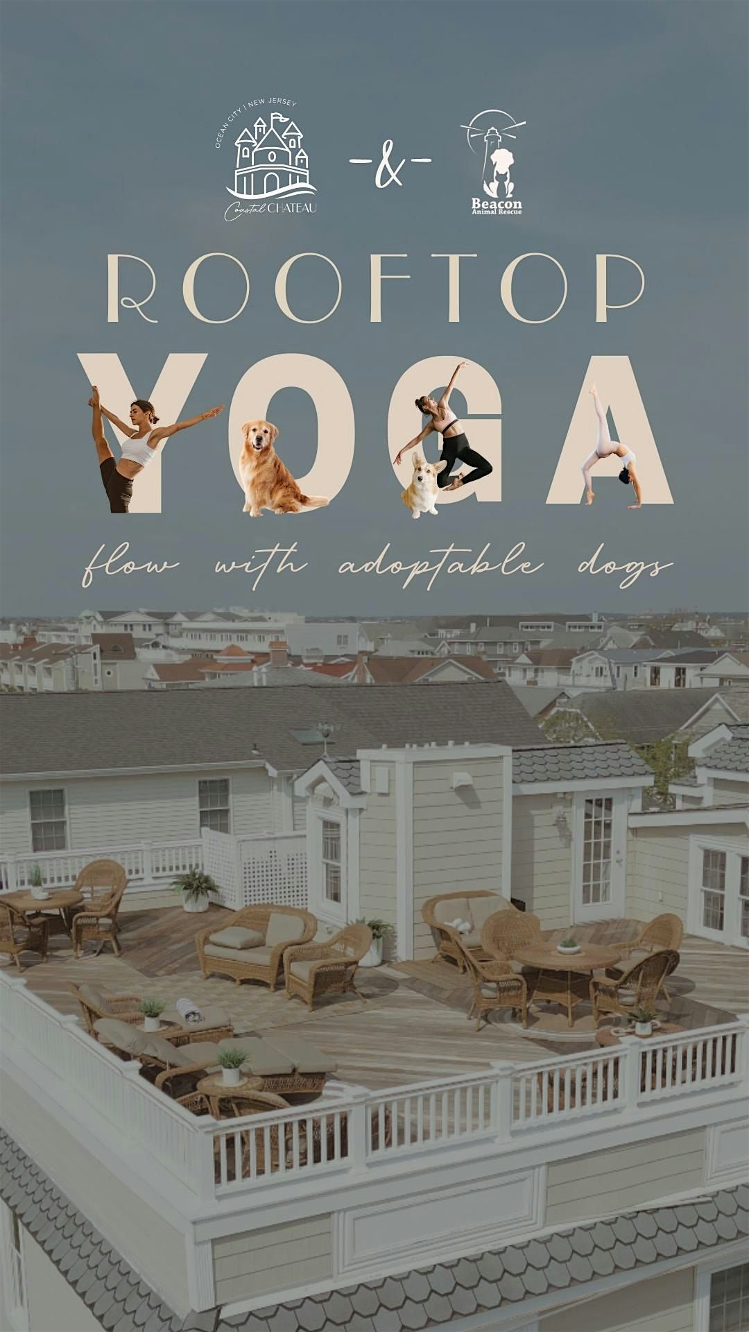 Pups and Poses: Rooftop Yoga with Adoptable Dogs, 7 June | Event in Ocean City | AllEvents