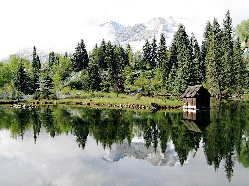 In the Wild: Artist Assembly at ACES Hallam Lake, 30 August | Event in Aspen | AllEvents