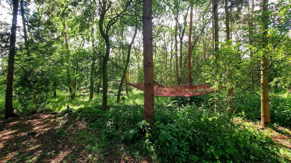 Free Forest Bathing + Session: nature based mindfulness to deeply relax, 6 July | Event in Huntingdon | AllEvents