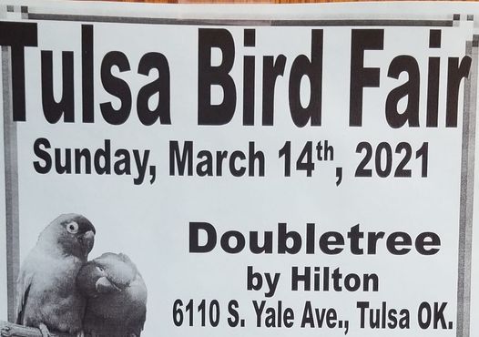 Tulsa Bird Fair Doubletree By Hilton Hotel Tulsa Warren Place March 14 2021 Allevents In tulsa events march 2021 calendar