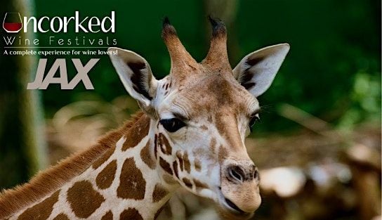 Uncorked: JAX, 15 November | Event in Jacksonville | AllEvents