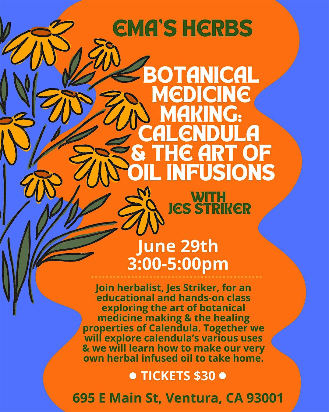 Botanical Medicine Making: Calendula & the Art of Oil Infusions with Jes S., 29 June | Event in Ventura