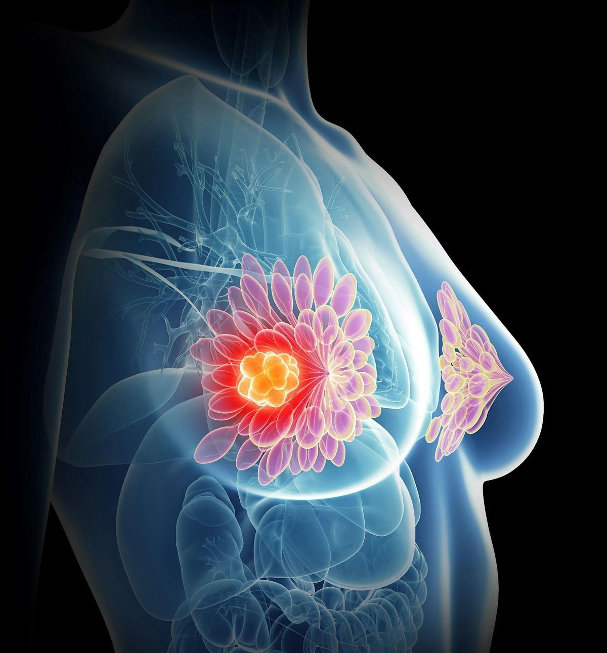 Breast Imaging In-Person Course, 8 December | Event in Cambridge | AllEvents