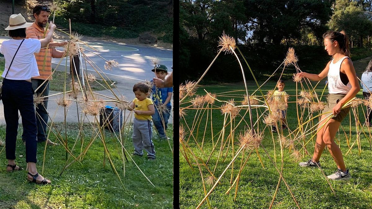 Community Ephemeral Art-making at Codornices Park – Agapanthus Project 2025, 15 November | Event in Berkeley