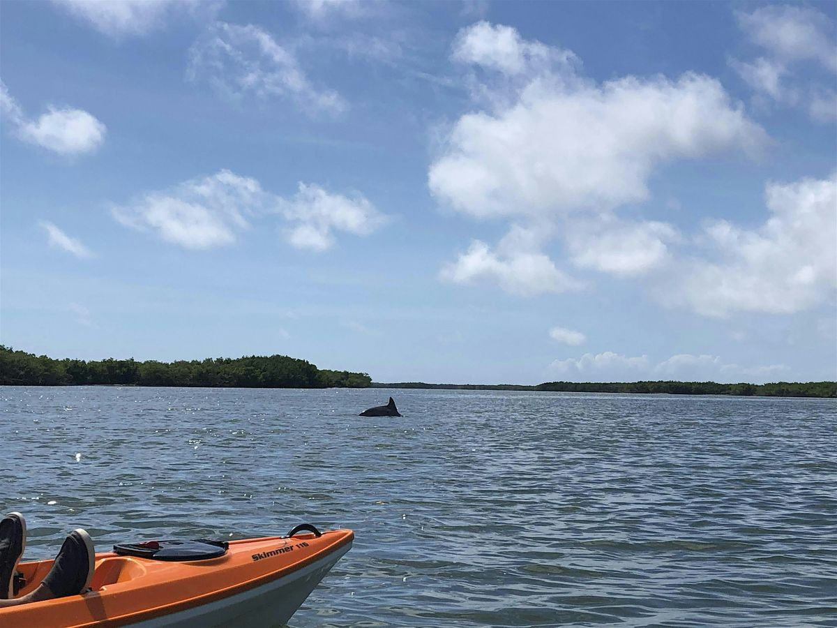 Riverbreeze Park - BOATERS and KAYAKERS, Coastal Cleanup 2025, 20 September | Event in Oak Hill | AllEvents
