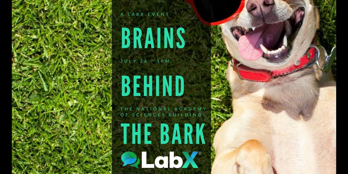 The Brains Behind The Bark, 26 July | Event in Washington | AllEvents