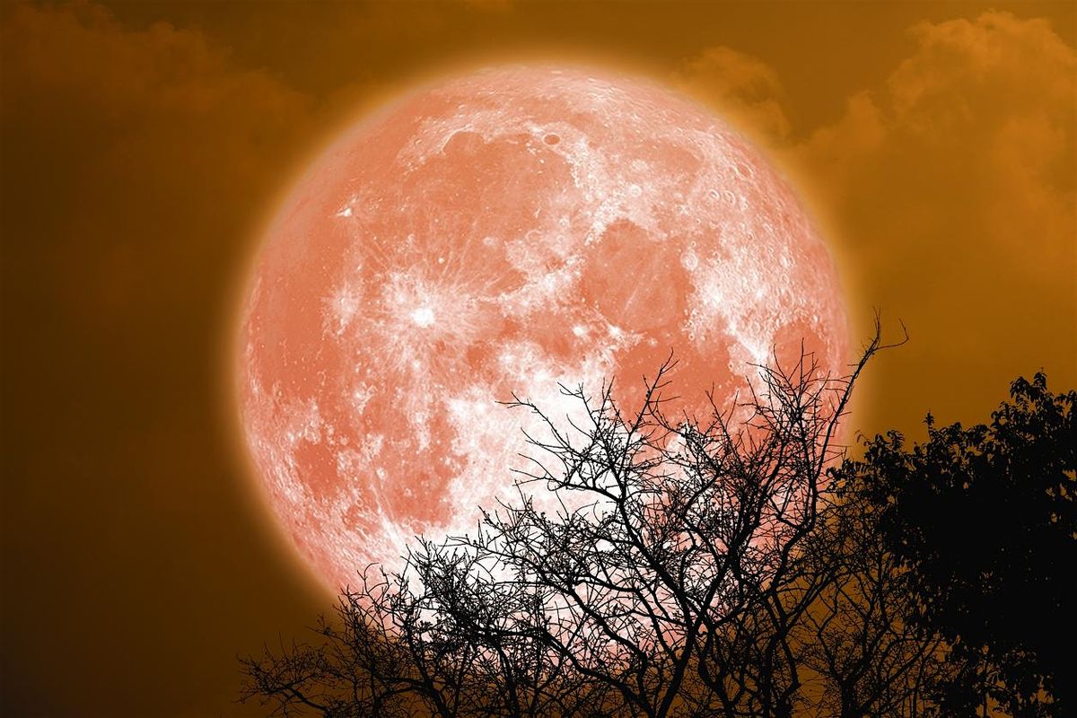 August’s Full Sturgeon Moon  Sound Bath In-Person! Bring a friend-, 10 August | Event in Greenwich | AllEvents