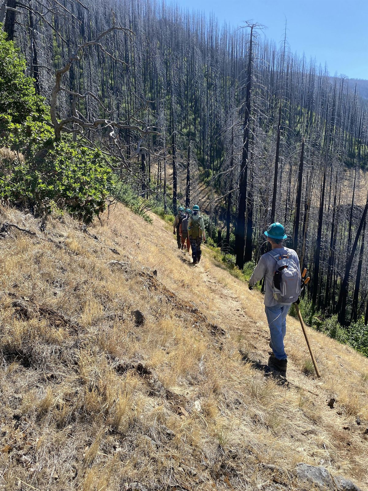 Ruckel Creek Trail Party - Gorge, 21 August | Event in Cascade Locks | AllEvents