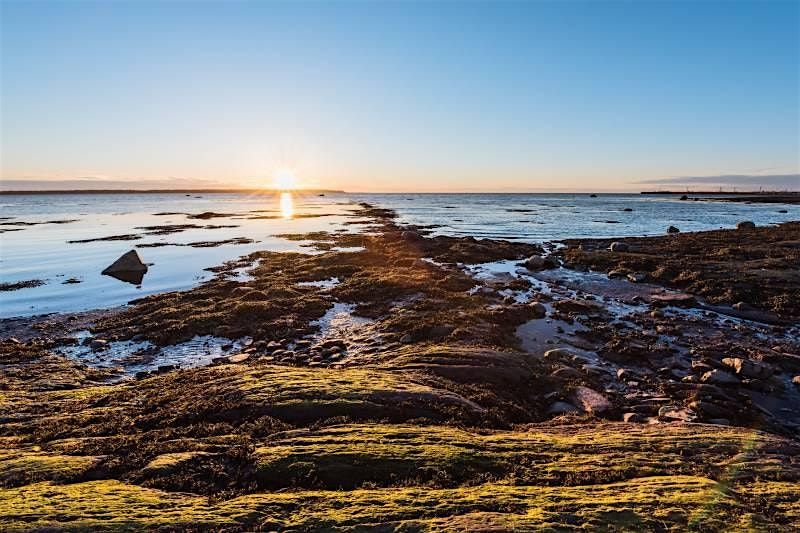 Rimouski Scavenger Hunt: Rimouski Riddles & Revelations | Event in Rimouski | AllEvents