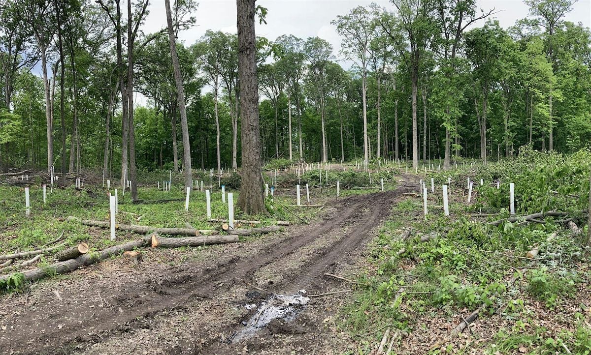 Forestry Tour: Purdue Miller Property in Grant County, 20 September | Event in Upland | AllEvents