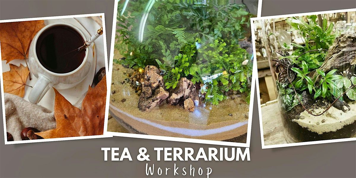 Tea & Terrarium Building Workshop, 16 October | Event in Furlong | AllEvents