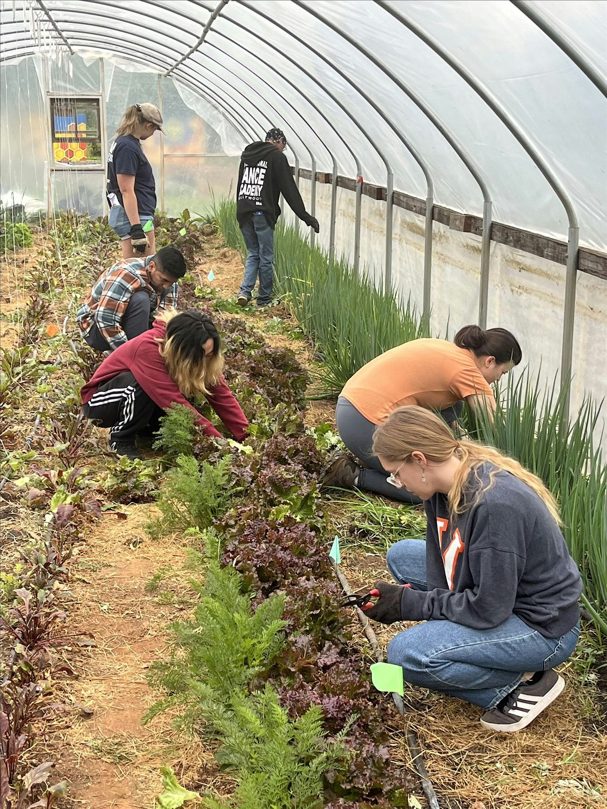 MKG Volunteer Day 10/4, 4 October | Event in Charlottesville | AllEvents