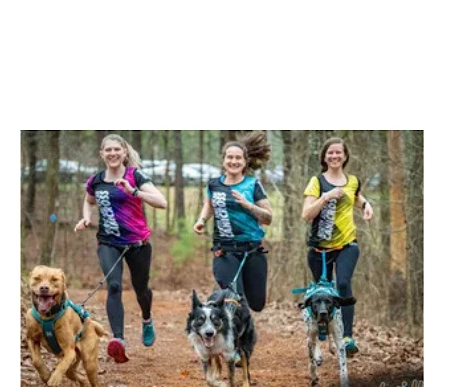 Cani cross and dog friendly 5k run | Event in Rapidan | AllEvents