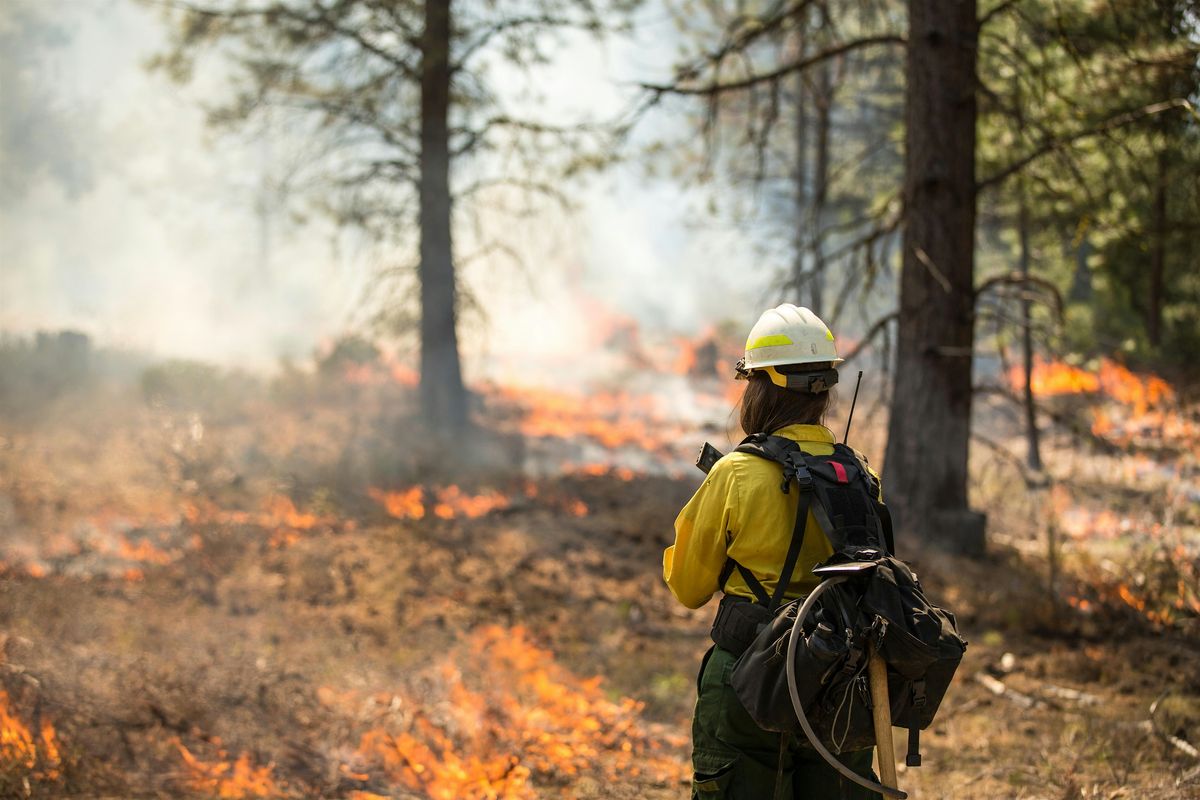 Wildfire Solutions Demo: Observe | Test | Connect, 10 October | Event in Greenough | AllEvents