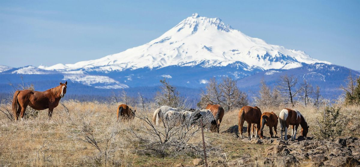 2025 Business Lighting Midyear Seminar - Bend, OR, 16 July | Event in Bend | AllEvents