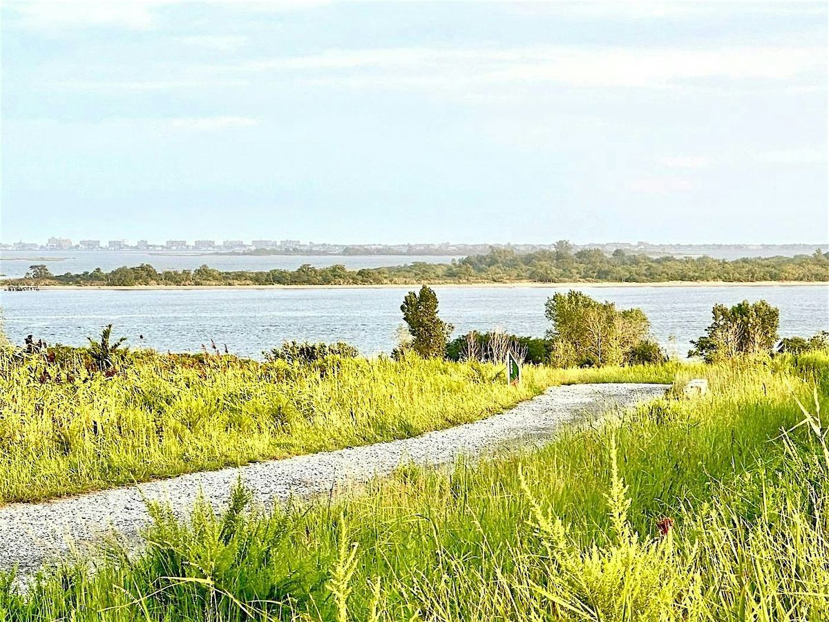 Sketching & Painting At Shirley Chisolm Park, 25 June | Event in Brooklyn | AllEvents