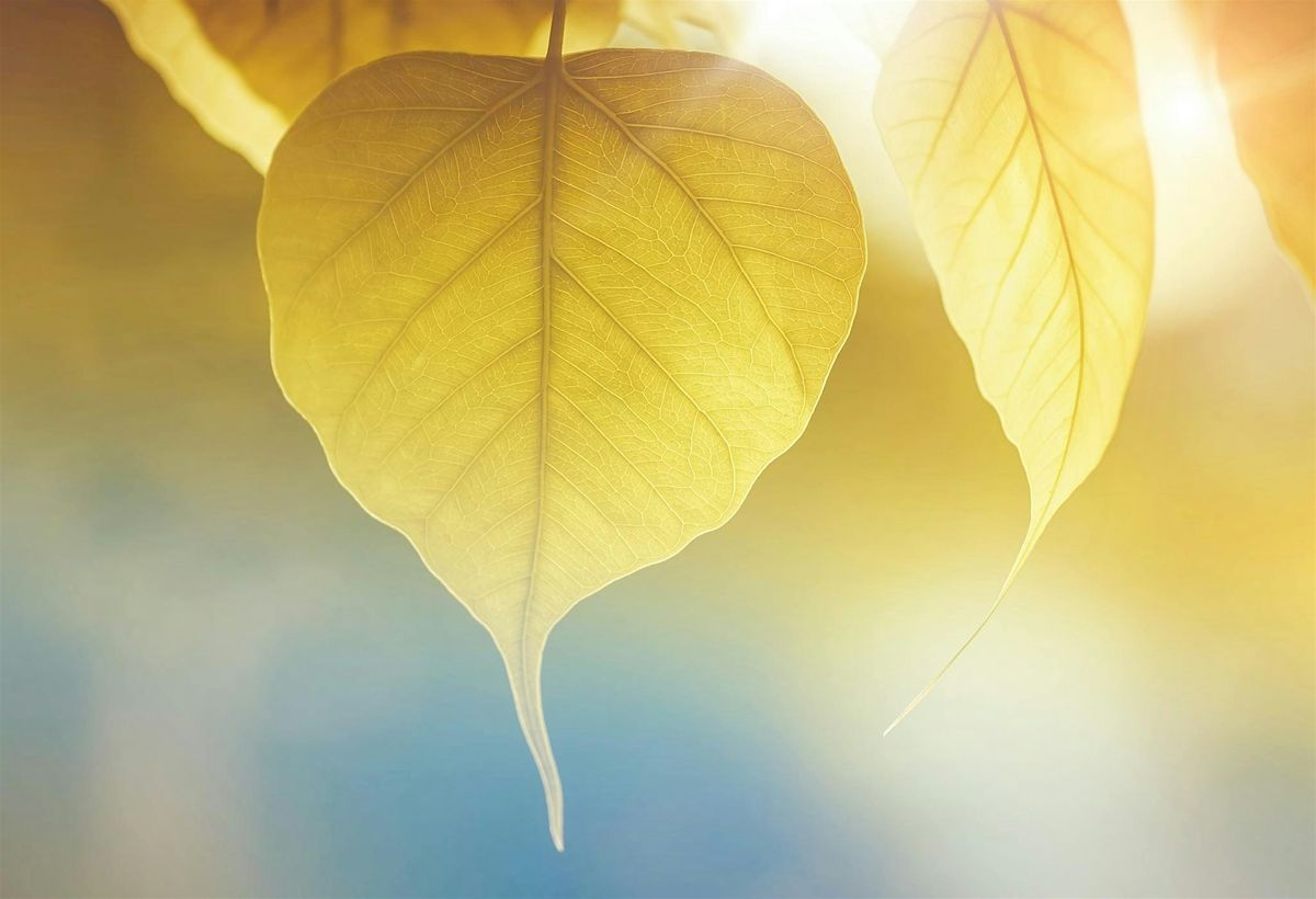 Wellness Workshop Delft, 6 September | Event in Delft | AllEvents