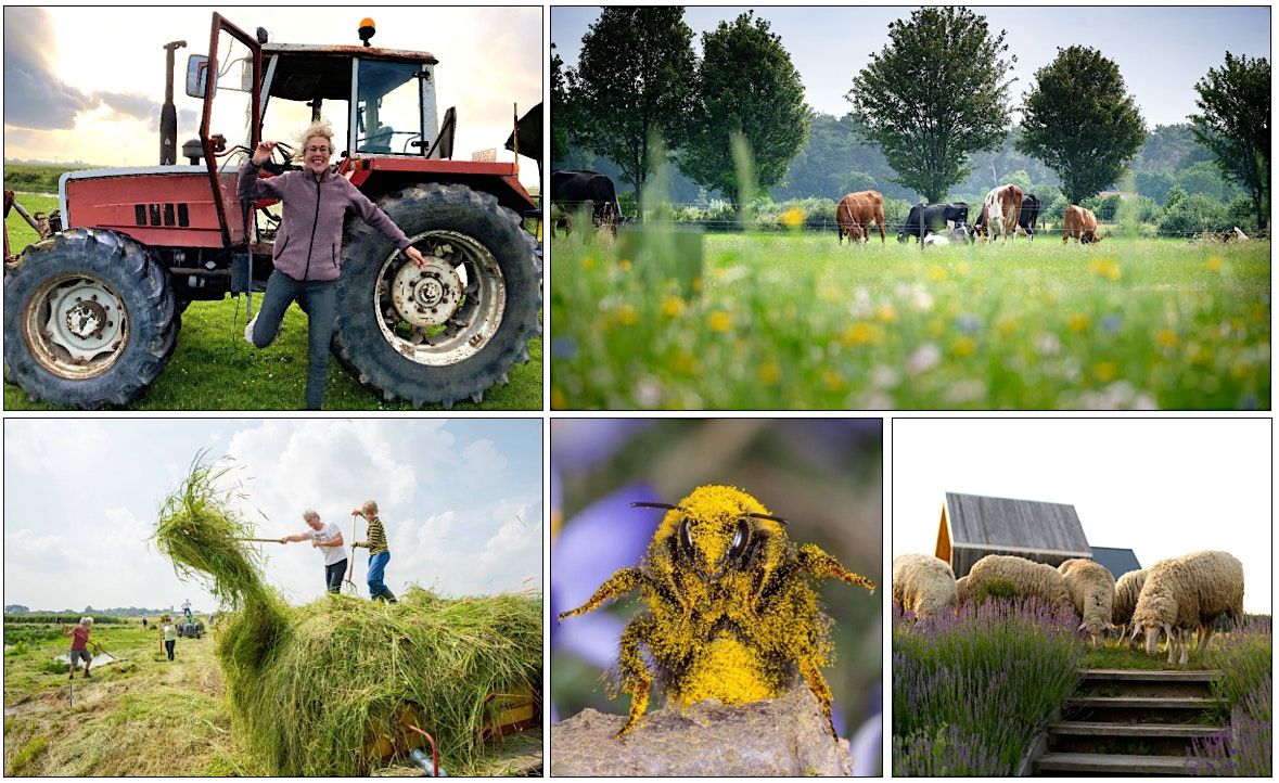 Boer en Biodiversiteit 2.0: workshop & boerderijbezoek, 31 October | Event in Zwolle | AllEvents