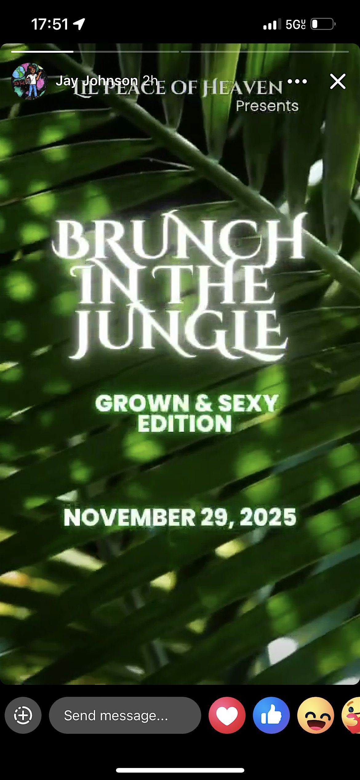 Brunch in the Jungle, 29 November | Event in Charleston | AllEvents