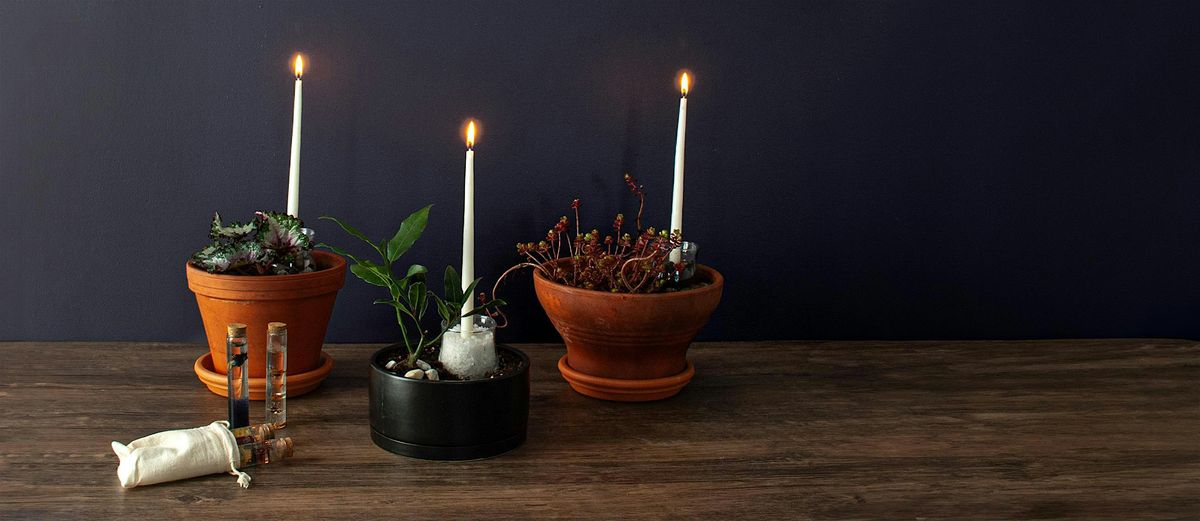 Make-n-Take: Horticultural Spell Jars at Mahoney's Winchester, 20 July | Event in Winchester | AllEvents
