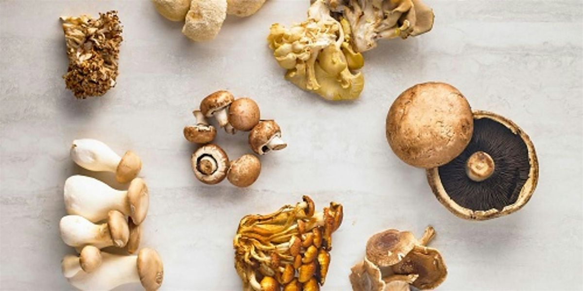 Meatless Meals: Mastering Mushrooms, 3 June | Event in Plano | AllEvents