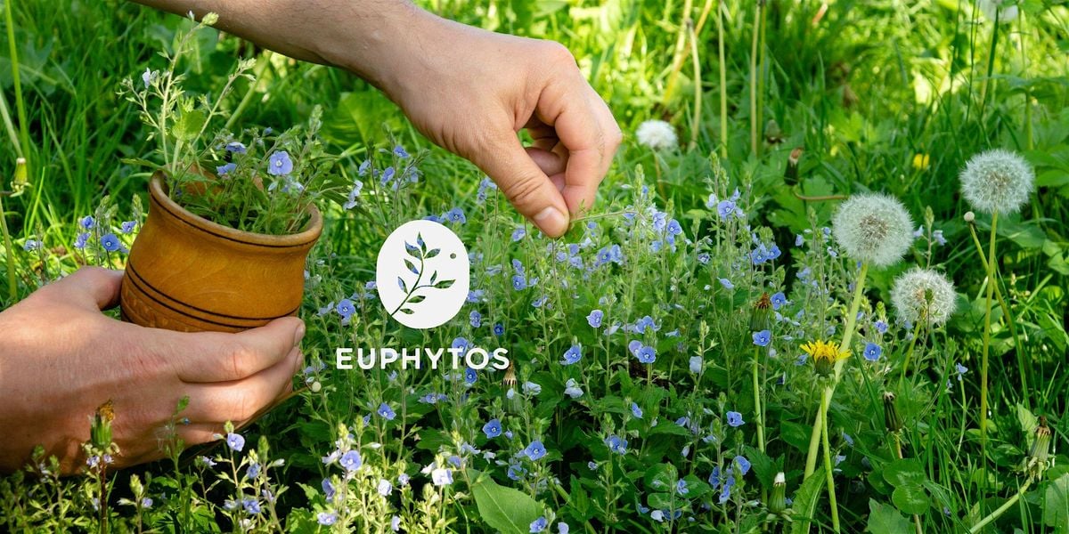Candele in cera d'api! Open day gratuito Euphytos, 17 August | Event in Rossana | AllEvents