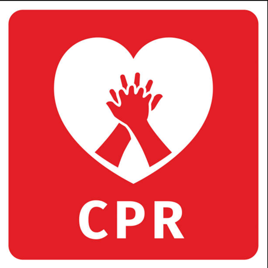 Babysitting 101 At Mission4life Cpr Ashburn