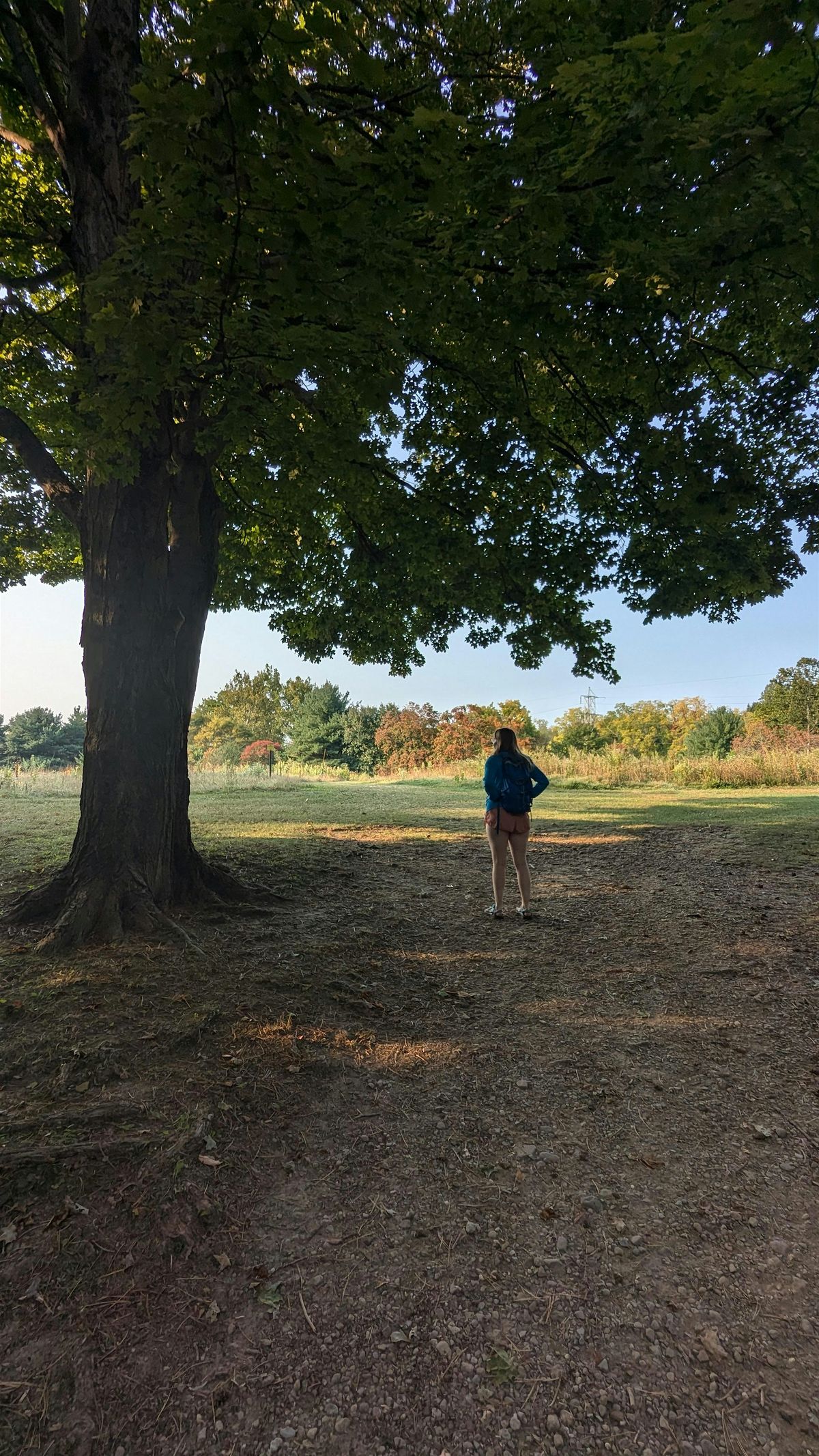 Grounding Through Change, 14 September | Event in Stow | AllEvents