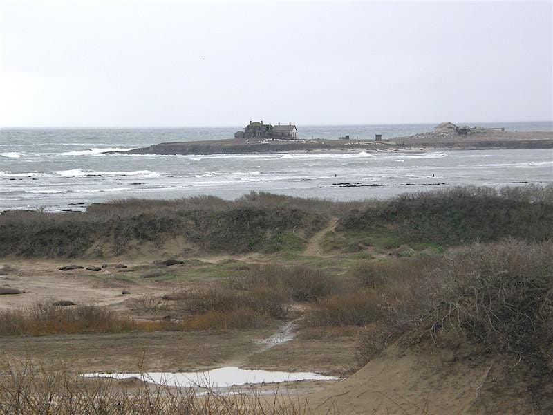 Año Nuevo State Park | Event in Pescadero | AllEvents
