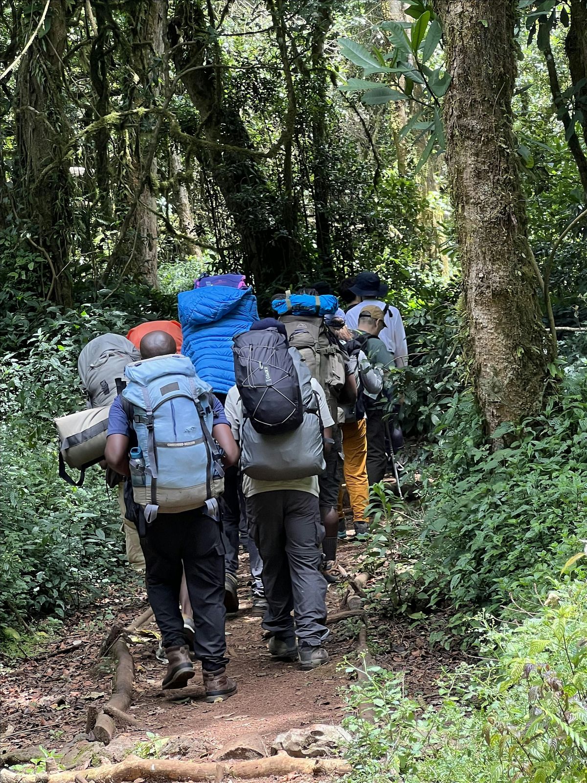 7 Days Lemosho Route Kilimanjaro Climb, 11 December | Event in Moshi | AllEvents