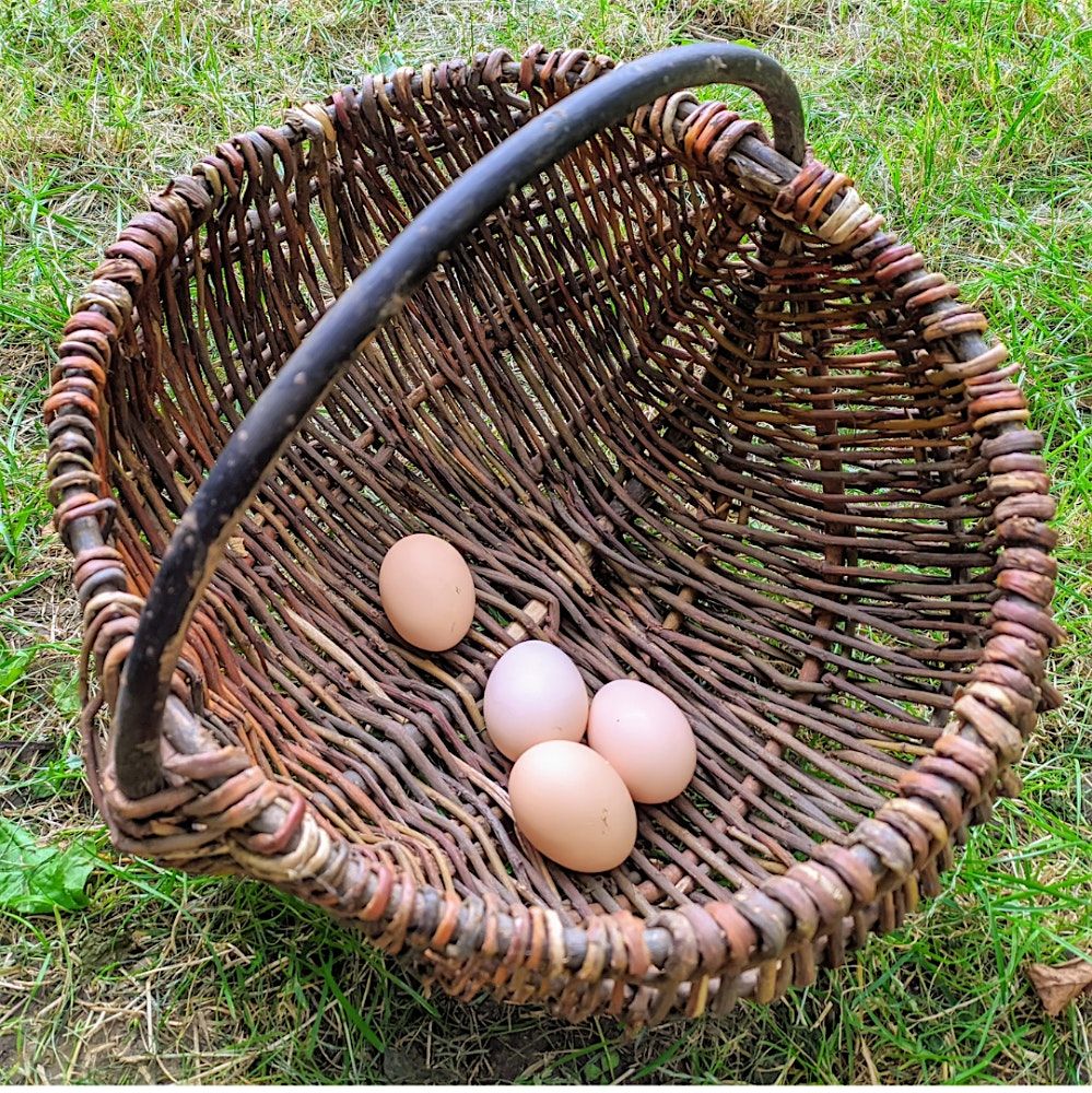 Willow Basket-Making Workshop, 25 October | Event in Oxford | AllEvents