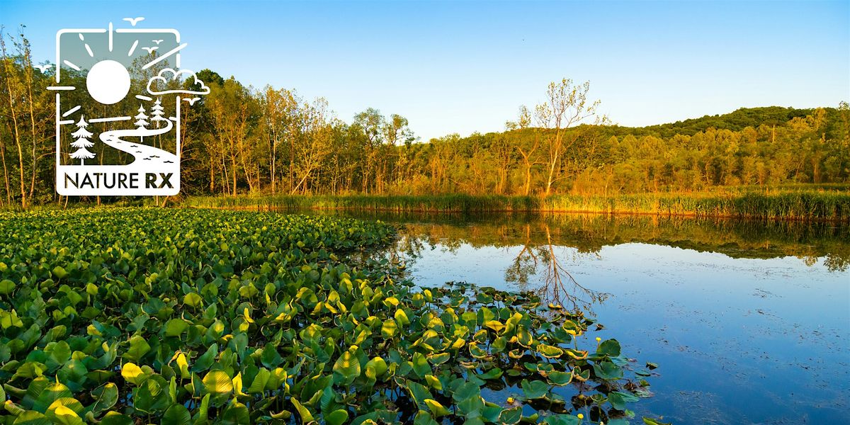 Nature Rx | Mindfulness Walk, 22 July | Event in Peninsula | AllEvents