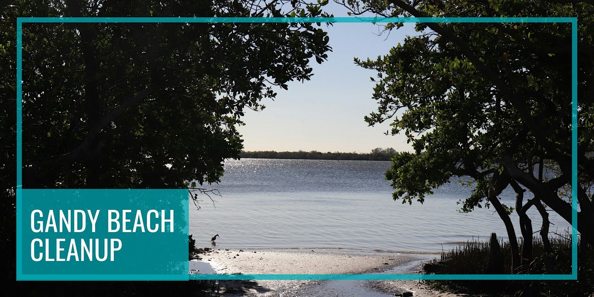 Gandy Beach Cleanup, 1 August | Event in Saint Petersburg | AllEvents