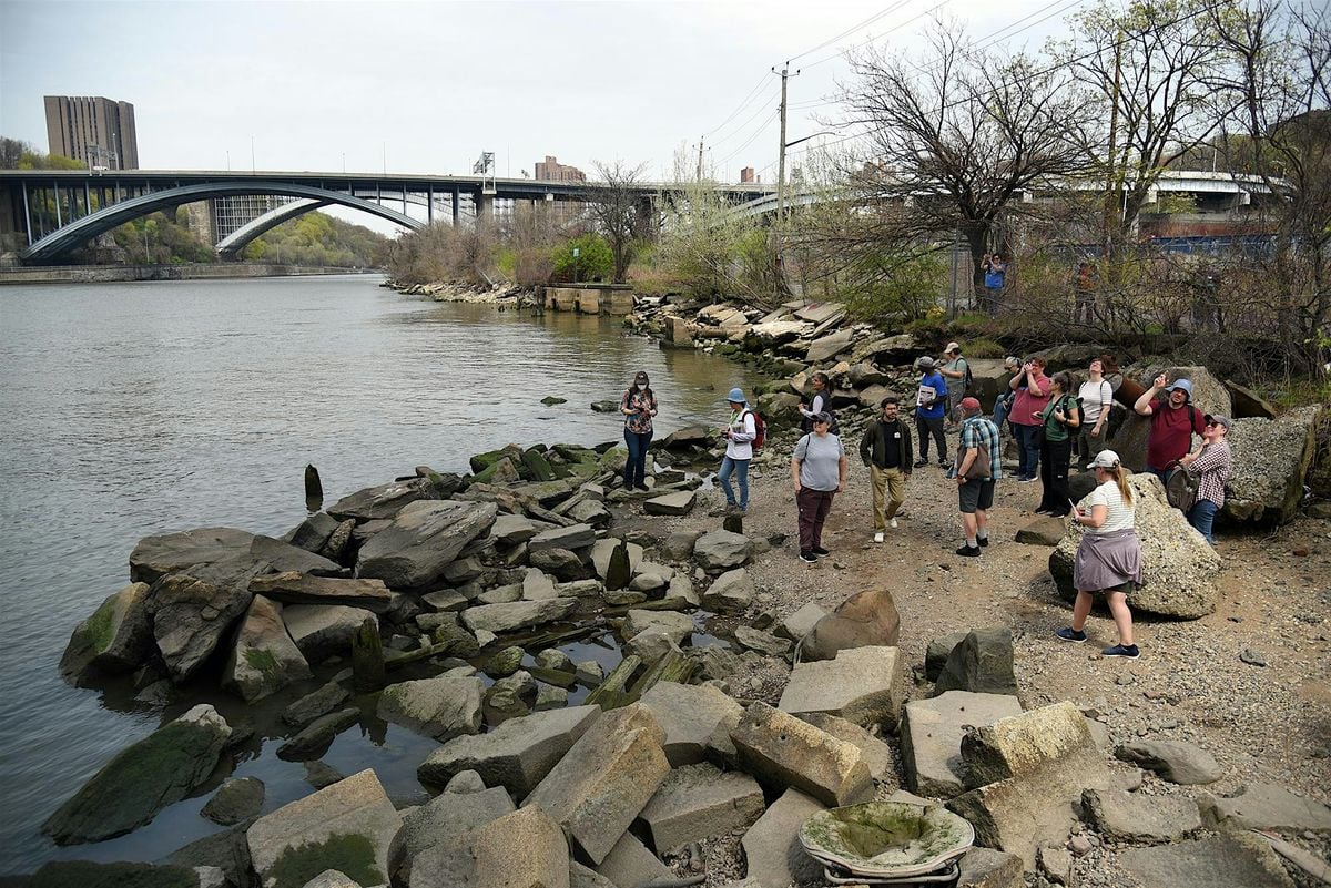 Harlem River Photo Walk, 30 August | Event in The Bronx | AllEvents