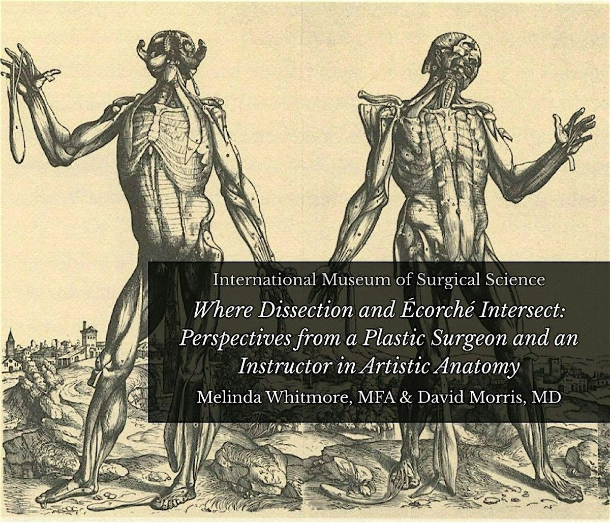 Where Dissection and Écorché Intersect, 13 November | Event in Chicago | AllEvents