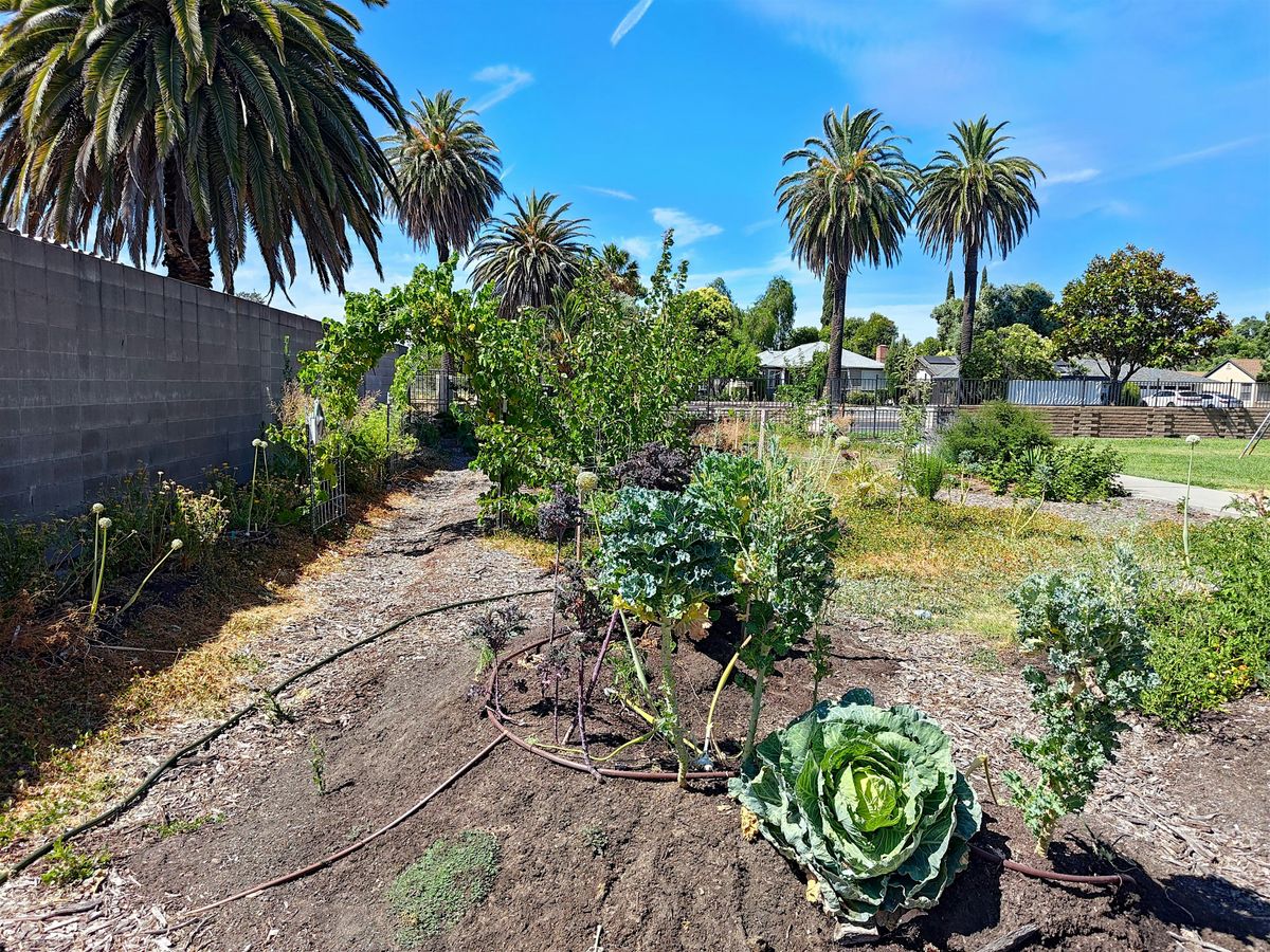 Winterize Your Garden, 25 October | Event in Fairfield | AllEvents